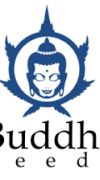 Budah Seeds